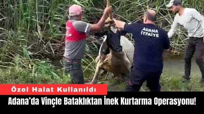 Adana’da Vinçle Bataklıktan İnek Kurtarma Operasyonu!