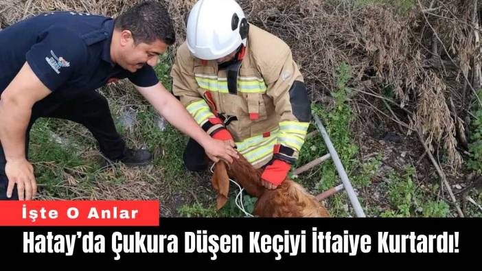 Hatay’da Çukura Düşen Keçiyi İtfaiye Kurtardı!