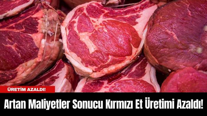 Artan Maliyetler Sonucu Kırmızı Et Üretimi Azaldı!