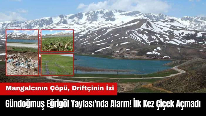 Gündoğmuş Eğrigöl Yaylası'nda Alarm! İlk Kez Çiçek Açmadı