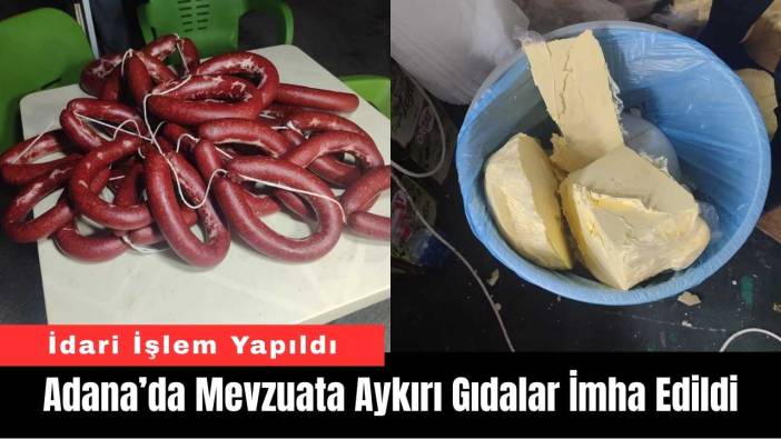 Adana’da Mevzuata Aykırı Gıdalar İmha Edildi