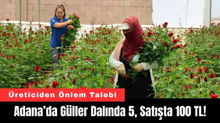 Adana’da Güller Dalında 5, Satışta 100 TL!