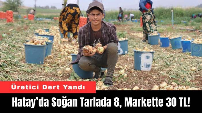 Hatay’da Soğan Tarlada 8, Markette 30 TL!