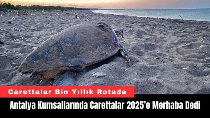 Antalya Kumsallarında Carettalar 2025’e Merhaba Dedi