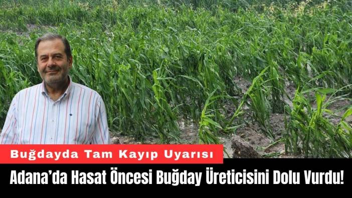 Adana’da Hasat Öncesi Buğday Üreticisini Dolu Vurdu!