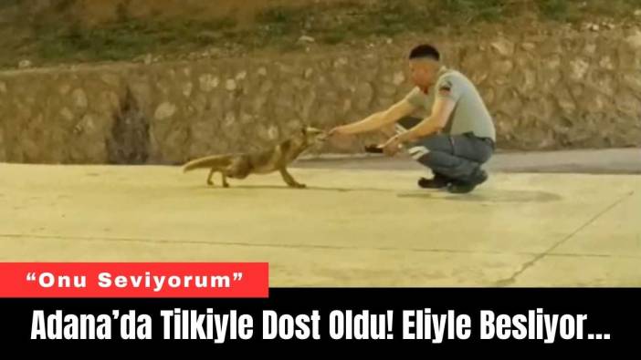 Adana’da Tilkiyle Dost Oldu! Eliyle Besliyor…