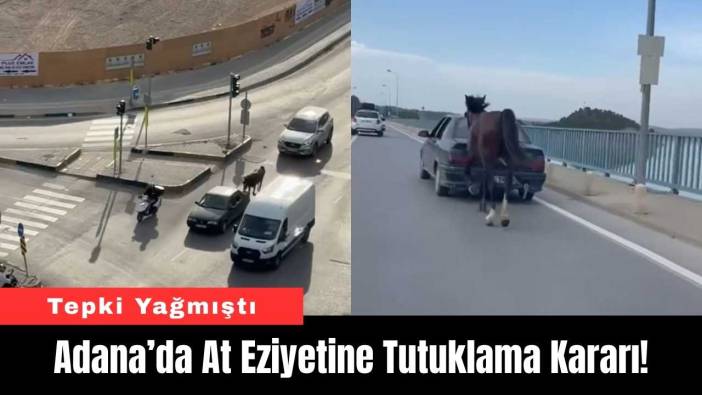 Adana’da At Eziyetine Tutuklama Kararı