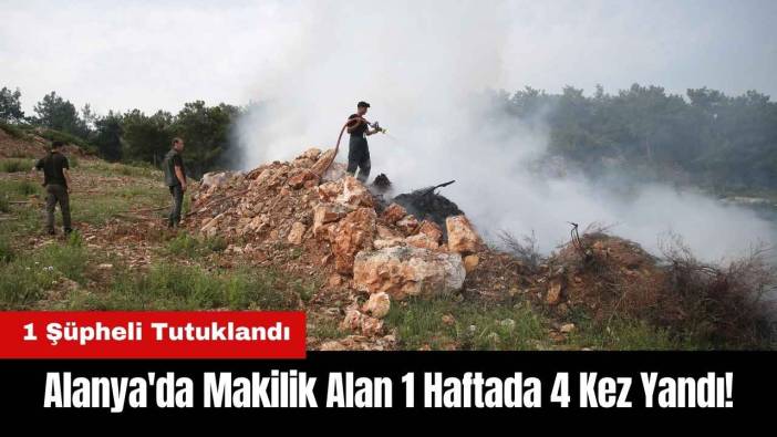 Alanya'da Makilik Alan 1 Haftada 4 Kez Yandı! 1 Şüpheli Tutuklandı