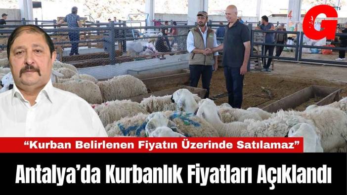 Antalya’da Kurbanlık Fiyatları Açıklandı
