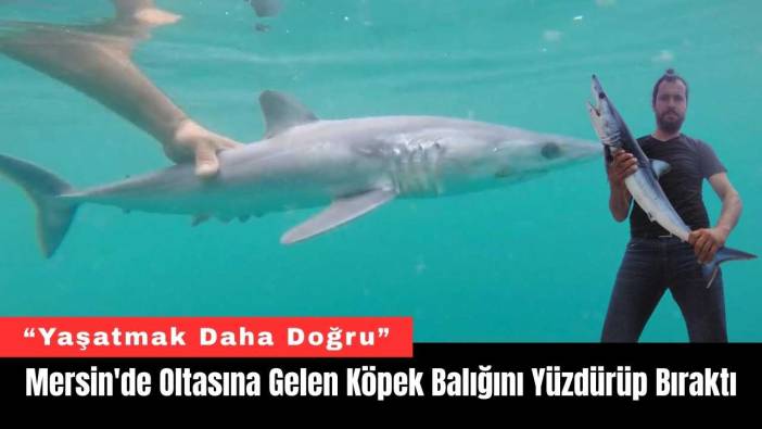 Mersin'de Oltasına Gelen Köpek Balığını Yüzdürüp Bıraktı