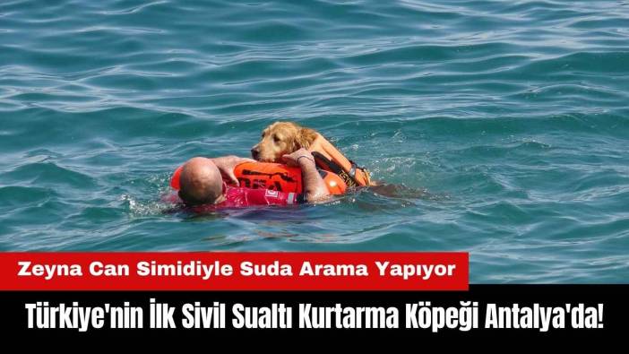 Türkiye'nin İlk Sivil Sualtı Kurtarma Köpeği Antalya'da!