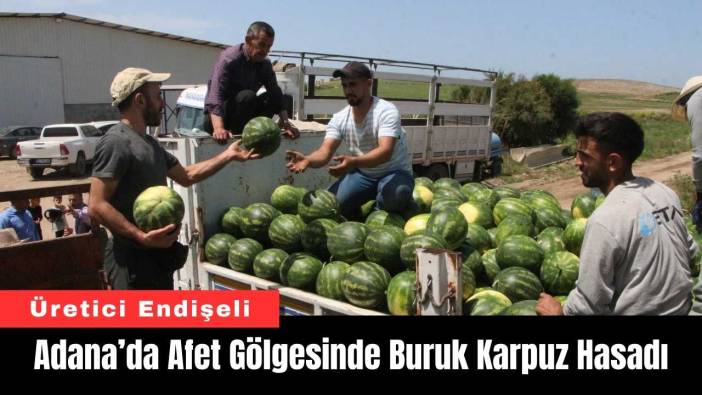 Adana’da Afet Gölgesinde Buruk Karpuz Hasadı