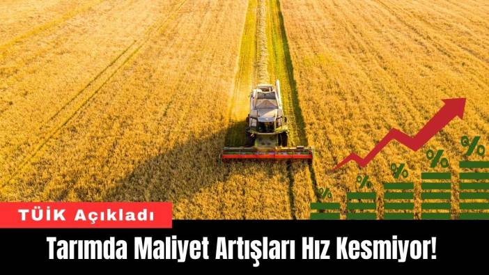 Tarımda Maliyet Artışları Hız Kesmiyor! TÜİK Açıkladı