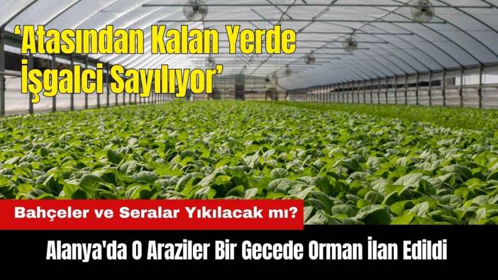 Alanya'da O Araziler Bir Gecede Orman İlan Edildi! Bahçeler ve Seralar Yıkılacak mı?