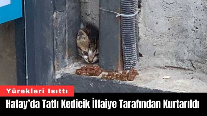 Hatay’da Tatlı Kedicik İtfaiye Tarafından Kurtarıldı
