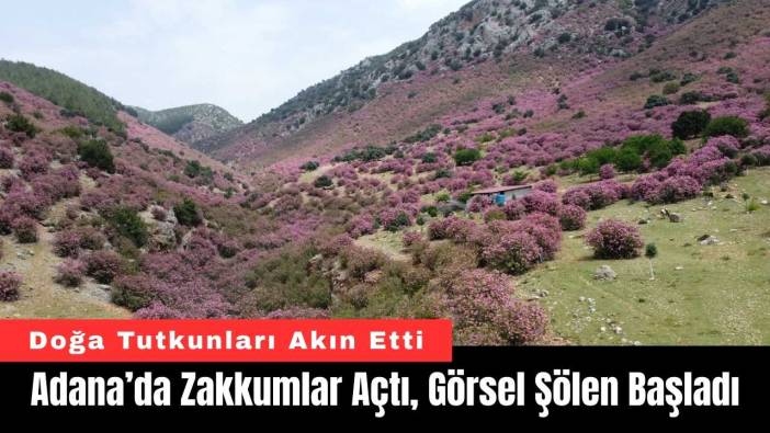 Adana’da Zakkumlar Açtı, Görsel Şölen Başladı