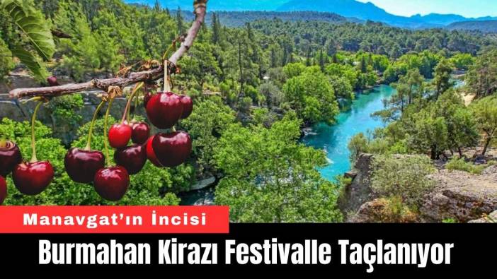 Manavgat'ın İncisi Burmahan Kirazı Festivalle Taçlanıyor