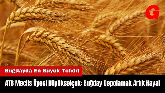 ATB Meclis Üyesi Büyükselçuk: Buğday Depolamak Artık Hayal