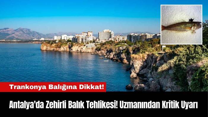 Antalya'da Zehirli Balık Tehlikesi! Uzmanından Kritik Uyarı