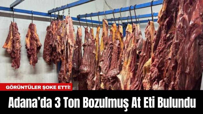 Görüntüler Şoke Etti! Adana’da 3 Ton Bozulmuş At Eti Bulundu