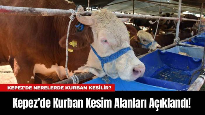 Kepez’de Kurban Kesim Alanları Açıklandı! Kepez’de Nerelerde Kurban Kesilir?