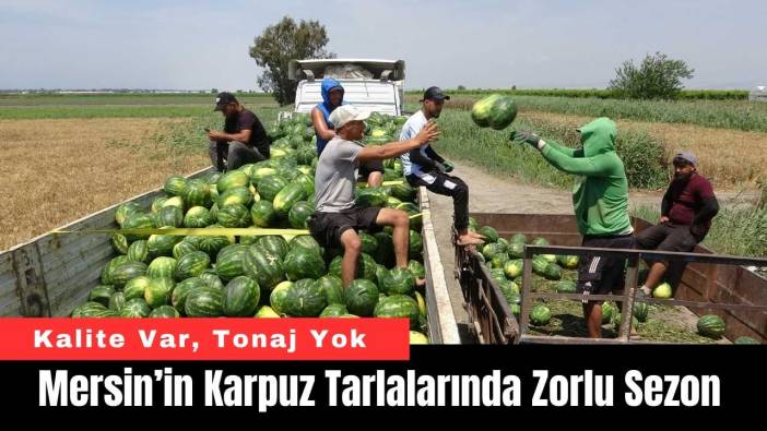 Mersin’in Karpuz Tarlalarında Zorlu Sezon