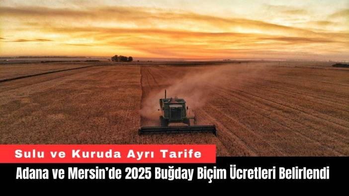 Adana ve Mersin’de 2025 Buğday Biçim Ücretleri Belirlendi