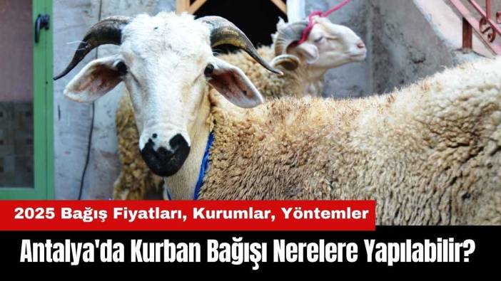 Antalya'da Kurban Bağışı Nerelere Yapılabilir? Antalya Kurban Bağışı Alan Kurumlar