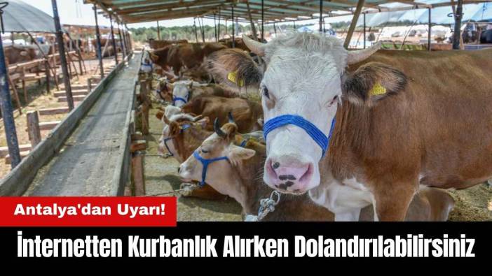 Antalya'dan Uyarı! İnternetten Kurbanlık Alırken Dolandırılabilirsiniz