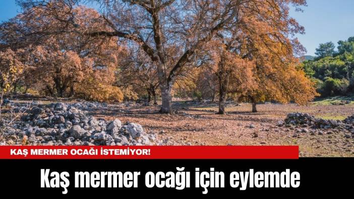 Kaş mermer ocağı için eylemde!