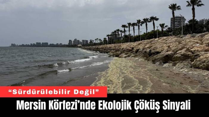 Mersin Körfezi’nde Ekolojik Çöküş Sinyali