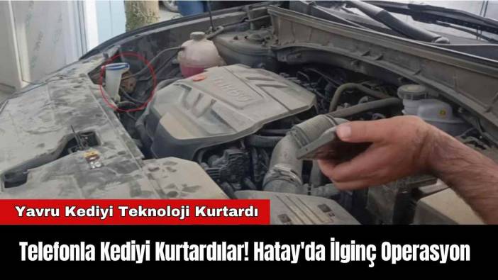 Telefonla Kediyi Kurtardılar! Hatay'da İlginç Operasyon