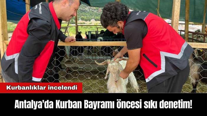 Antalya'da Kurban Bayramı öncesi sıkı denetim!