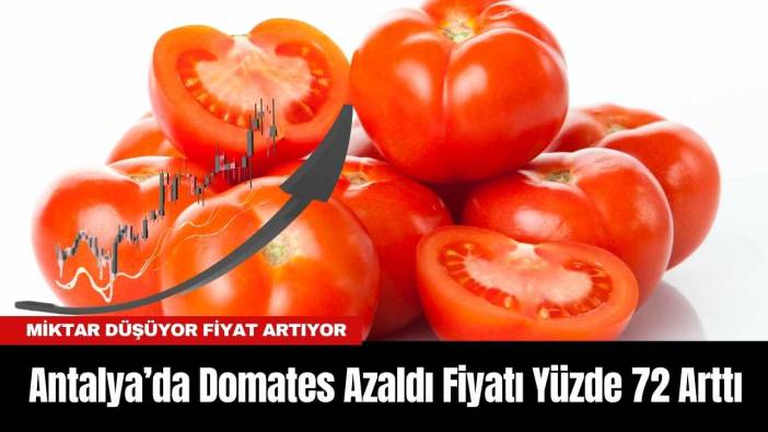 Antalya’da Domates Azaldı Fiyatı Yüzde 72 Arttı