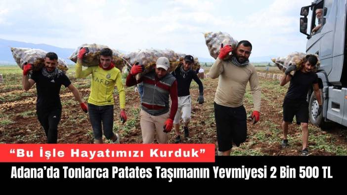 Adana’da Tonlarca Patates Taşımanın Yevmiyesi 2 Bin 500 TL