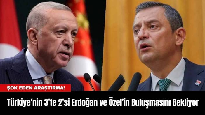 Türkiye’nin 3’te 2’si Erdoğan ve Özel’in Buluşmasını Bekliyor