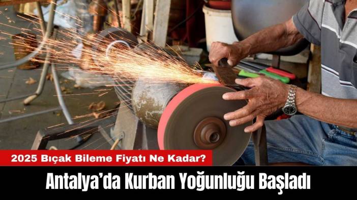 Antalya’da Kurban Yoğunluğu Başladı! 2025 Bıçak Bileme Fiyatı Ne Kadar?