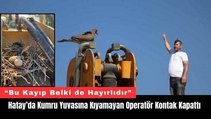 Hatay’da Kumru Yuvasına Kıyamayan Operatör Kontak Kapattı