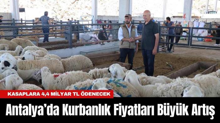 Antalya’da Kurbanlık Fiyatları Büyük Artış