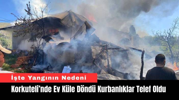 Korkuteli’nde Ev Küle Döndü Kurbanlıklar Telef Oldu