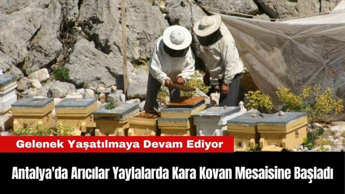 Antalya'da Arıcılar Yaylalarda Kara Kovan Mesaisine Başladı