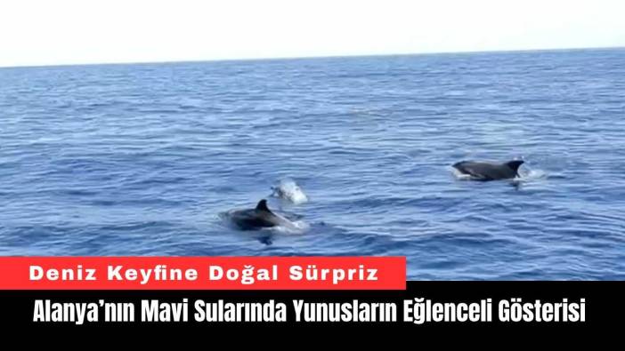 Alanya’nın Mavi Sularında Yunusların Eğlenceli Gösterisi