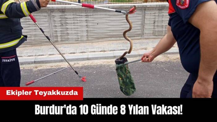Burdur'da 10 Günde 8 Yılan Vakası! Ekipler Teyakkuzda