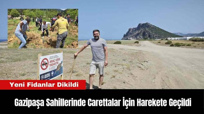Gazipaşa Sahillerinde Carettalar İçin Harekete Geçildi