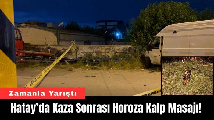 Hatay’da Kaza Sonrası Horoza Kalp Masajı!