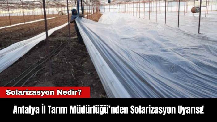 Antalya İl Tarım Müdürlüğü’nden Solarizasyon Uyarısı! Solarizasyon Nedir?