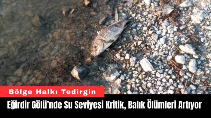 Isparta Eğirdir Gölü’nde Su Seviyesi Kritik, Balık Ölümleri Artıyor