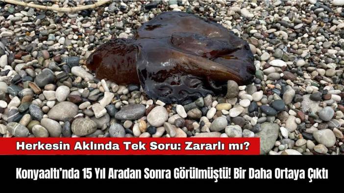 Konyaaltı’nda 15 Yıl Aradan Sonra Görülmüştü! Bir Daha Ortaya Çıktı