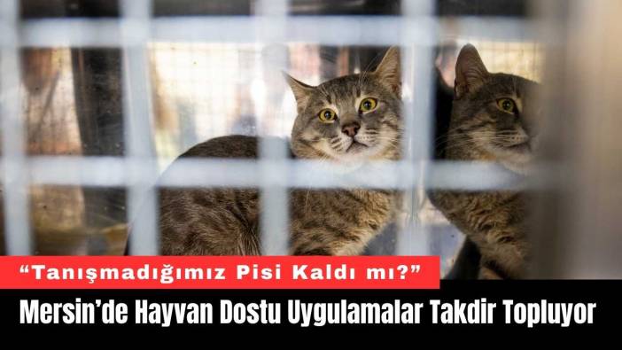 Mersin’de Hayvan Dostu Uygulamalar Takdir Topluyor