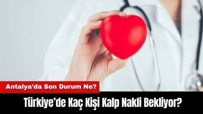 Türkiye’de Kaç Kişi Kalp Nakli Bekliyor? Antalya’da Son Durum Ne?